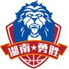 主队图片